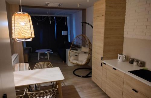 Bielsko-Biala Apartamento | Bielsko City Center Apartment