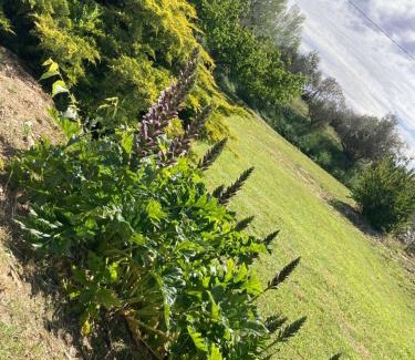 St.-Remy-de-Provence Casa | Bienvenue à La Petite Virette