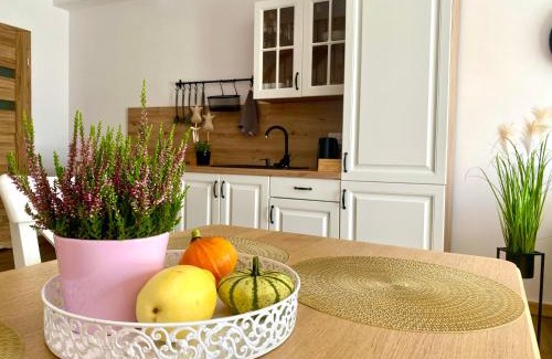 Polanczyk Apartamento | Bieszczadzkie Siedlisko