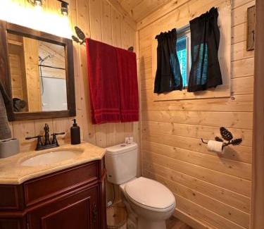 Cosby Casa | Big Bear Log cabin