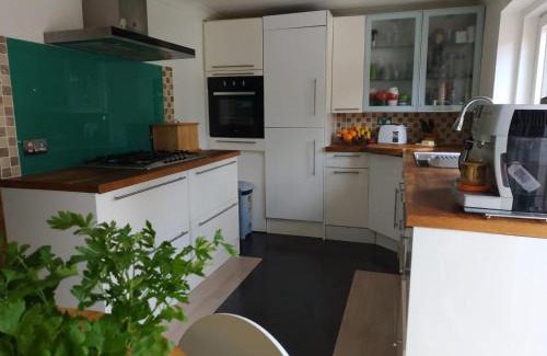 Walsall Casa | Big Bird's Haven