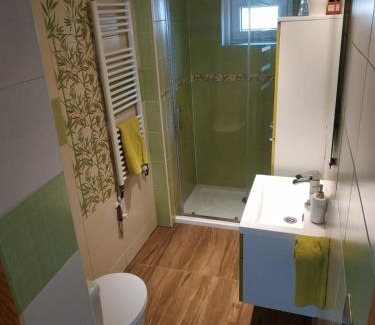 Walsall Casa | Big Bird's Haven