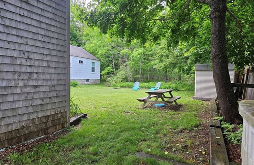Bar Harbor Cabaña | Big Dragonfly - cozy and quaint in the village of Bar Harbor