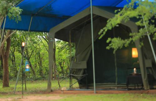 Kataragama Otro | Big Game Yala - by Eco Team