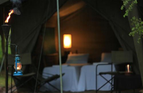 Kataragama Otro | Big Game Yala - by Eco Team