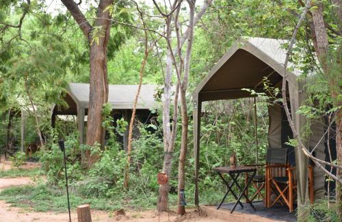 Kataragama Otro | Big Game Yala - by Eco Team