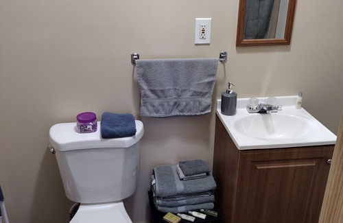 Ashley Oaks Cabina | Big Mountain Cabin 3 w/ direct access to Windrock