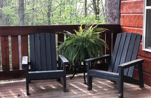 Strunk Cabina | 𝐁𝐢𝐠 𝐒𝐨𝐮𝐭𝐡 𝐅𝐨𝐫𝐤 Retreat! Excellent Location Private WIFI~ All NEW 𝐓𝐫𝐞𝐞 𝐓𝐨𝐩 𝐋𝐨𝐝𝐠𝐞!