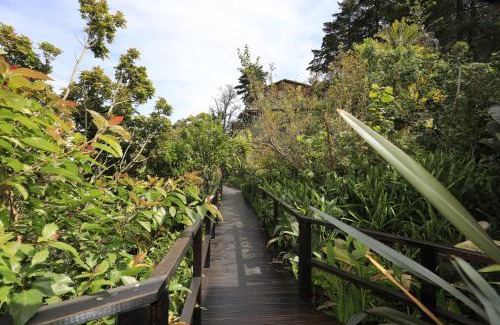 Old Place Cabina | Big Tree House Lodge