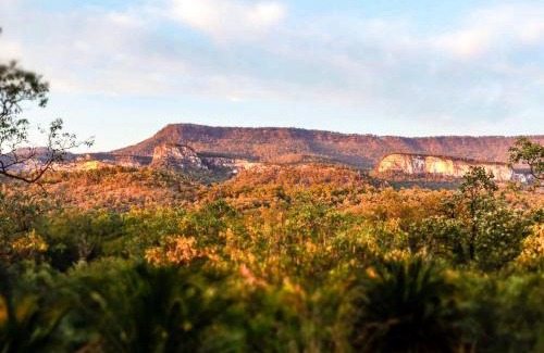 Rewan Otro | BIG4 Carnarvon Gorge Holiday Park