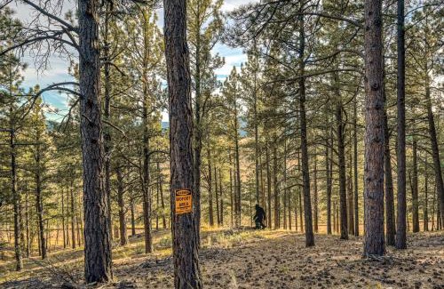 Angel Fire Casa | Bigfoot Lodge