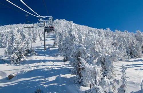 Majestic Pines Apartamento | Bigwood 54 K