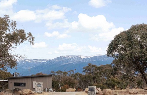Hill Top Cabina | Billy Button Retreat