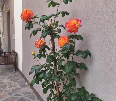 San Giuliano a Mare Apartamento | Bilocale moderno Sabbia e Cielo - 5min dal mare