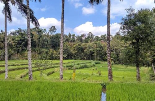 Kecamatan Pringgasela Casa | Bintang Homestay