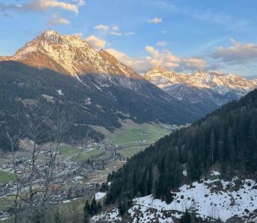 Kleinarl Apartamento | Bio-Bauernhof Hirschleiten