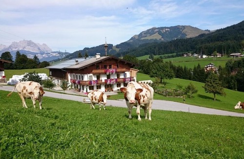 Fieberbrunn Casa | Bio-Bauernhof Niederlehen