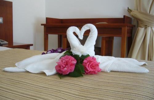Camara de Lobos Hotel | BIO Hotel - Hotel Quinta da Serra