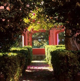 Camara de Lobos Hotel | BIO Hotel - Hotel Quinta da Serra