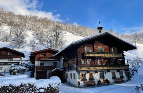 Dorfgastein Apartamento | Biobauernhof Torbauer