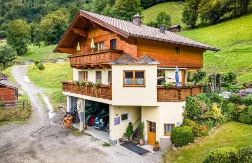 Dorfgastein Apartamento | Biobauernhof Torbauer
