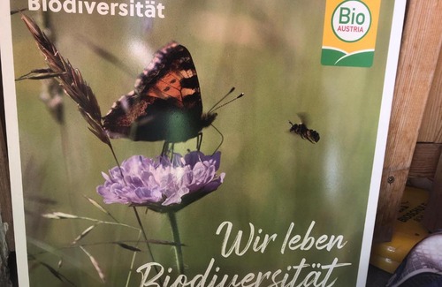 Sankt Margarethen im Lungau Apartamento | Biohof Sauschneider