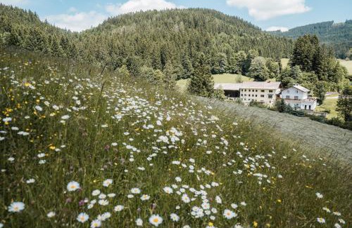 Lunz am See Casa | Biohof Teufel