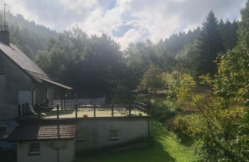 Walim Casa | Biotanika