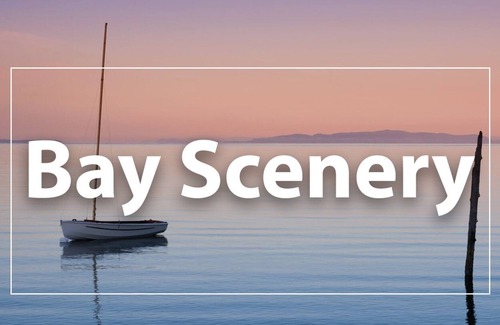 Birch Bay Complejo | Birch Bay Resort 1bdr