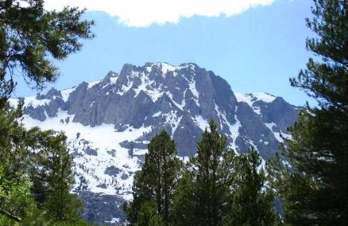 June Lake Casa | Birch Creek #1 - 1BR/1BA - Down Canyon