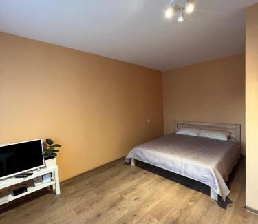 Jelgava Apartamento | Birch view apartment