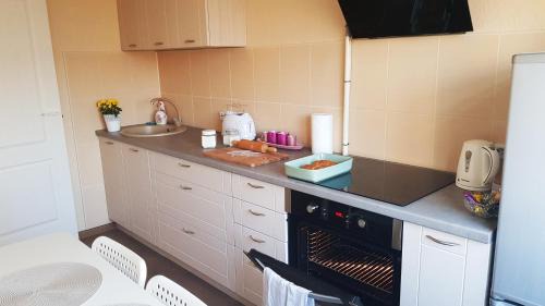 Jelgava Apartamento | Birch view apartment