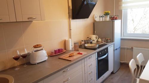 Jelgava Apartamento | Birch view apartment