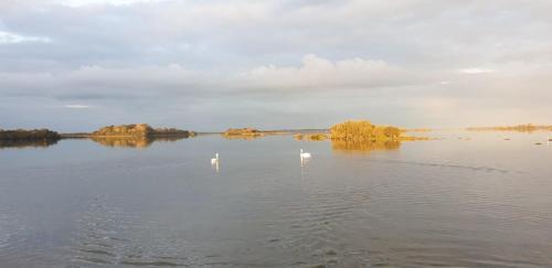 Carrowmoreknock Cama Y Desayuno | Birchall Lodge