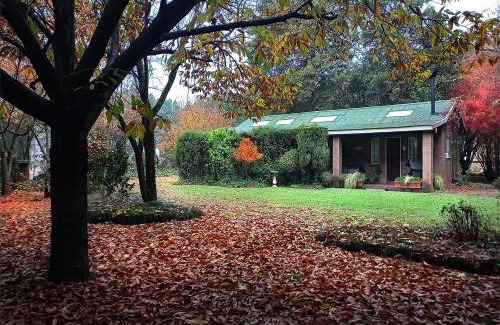 Underberg Cabina | Birches Cottage & the Willows Garden Room