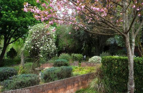 Underberg Cabina | Birches Cottage & the Willows Garden Room