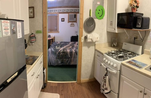 Cadillac Cabina | Birchwood Resort & Campground