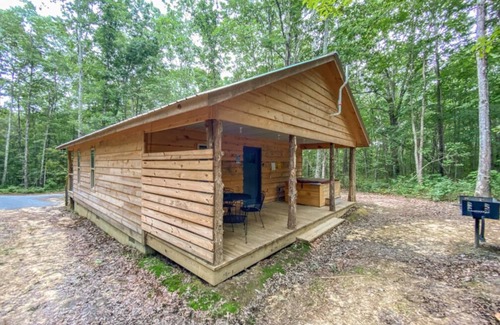 Fort Payne Casa | Bird House! Cozy cabin in the woods! With hot tub!