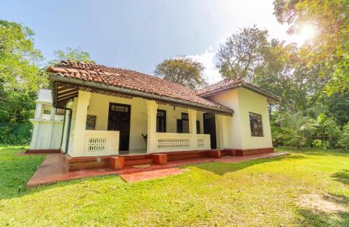 Ahangama Hotel | Bird Of Paradise - Ahangama Villa