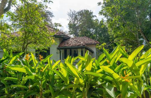 Ahangama Hotel | Bird Of Paradise - Ahangama Villa
