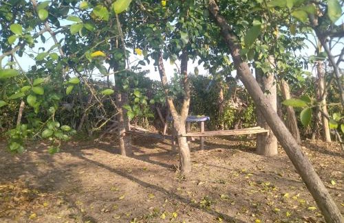Chitwan District Otro | Bird Sanctuary Farm House