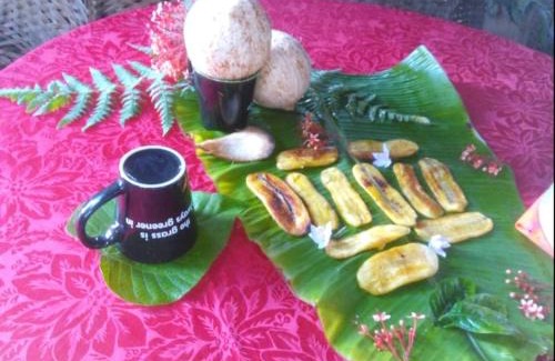 Tanna Island Apartamento | Bird View Bungalow