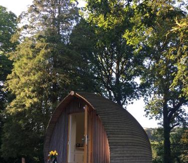 Margam Otro | birdbox@glanrhyd
