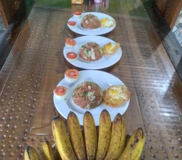 Bitung Casa | Birdhouse Homestay Tangkoko