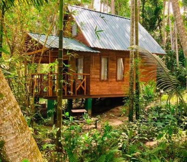 Wanchawala Cabina | Birds Bliss Cabana