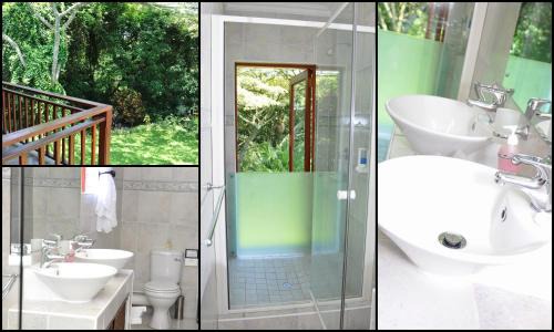 uMlalazi Cama Y Desayuno | Birds of Paradise B&B