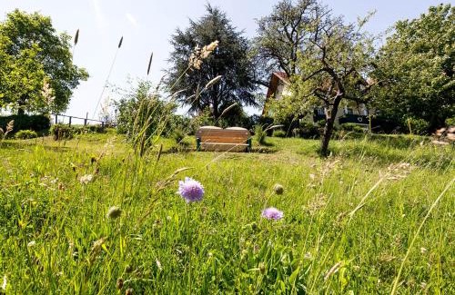 Loipersdorf bei Fuerstenfeld Casa | Birkenhof Loipersdorf