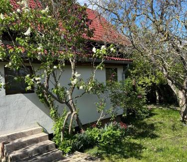 Balatonakarattya Casa | Birkenhof Vendégház