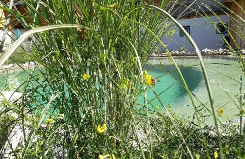 Grossarl Casa | Birnbaum Chalet Kreuzkogel mit Naturbadesee und eingezäunten Garten