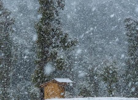 Palampur Otro | Birni Camping and Mudhouse